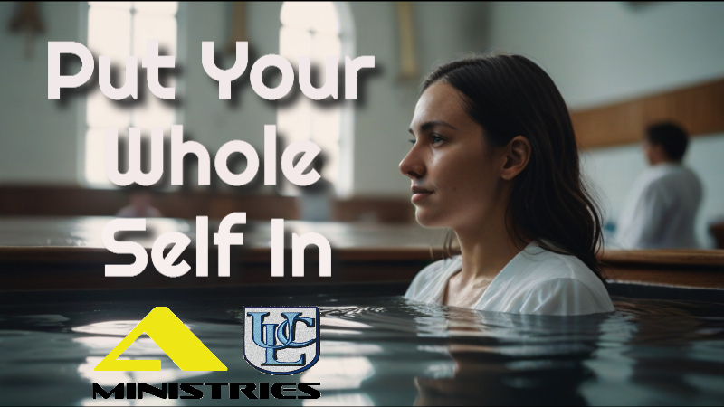 Put Your Whole Self In