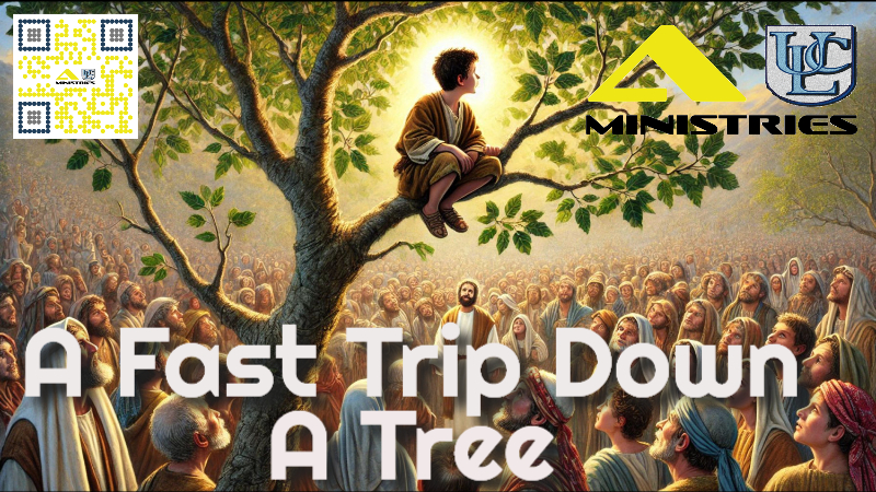 A Fast Trip Down A Tree