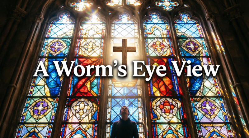A Worms Eye View